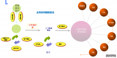 MES系统软件对生产与管理的作用